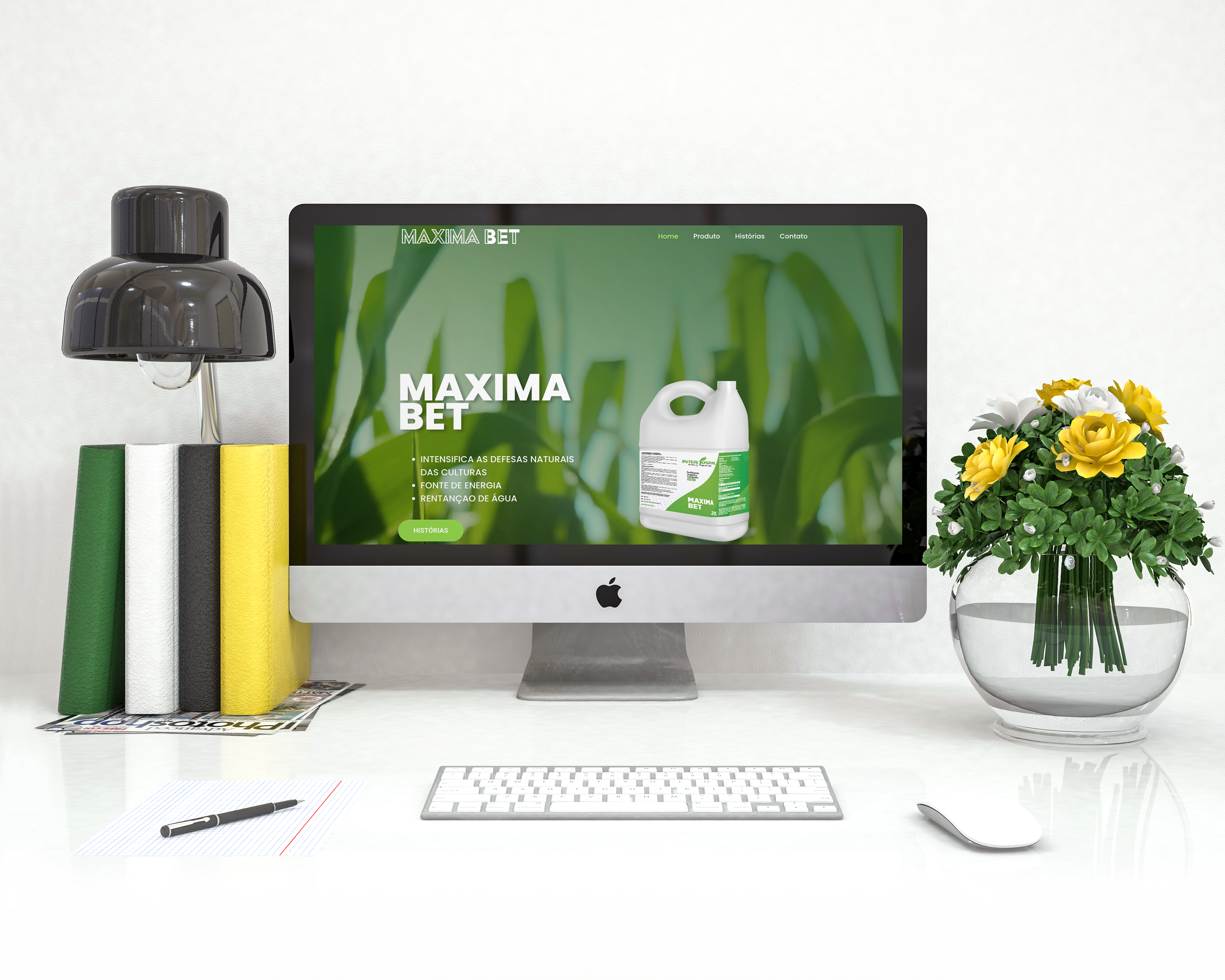 Broudy Estudios Diseño Web